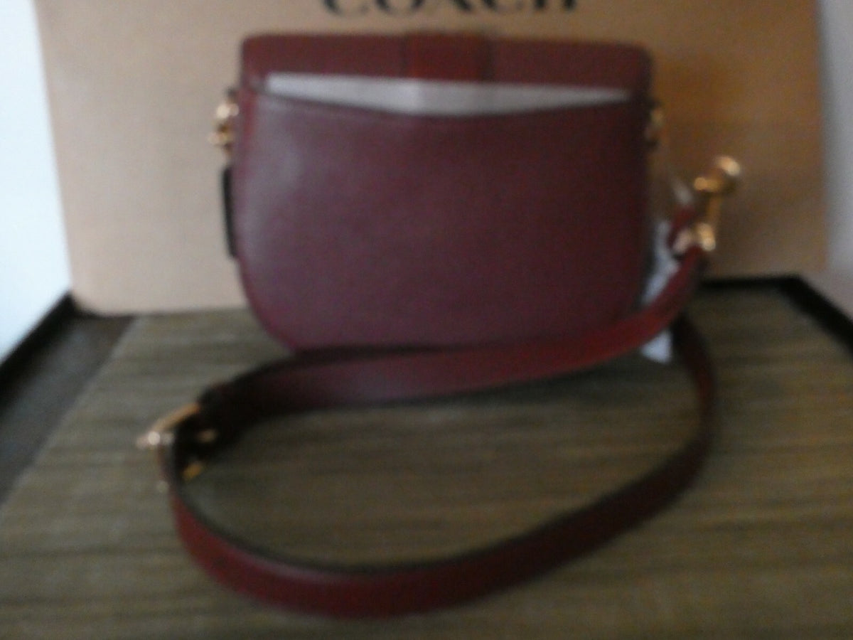 Coach Georgie Saddle Bag In Colorblock Crossbody Bag Style C3596