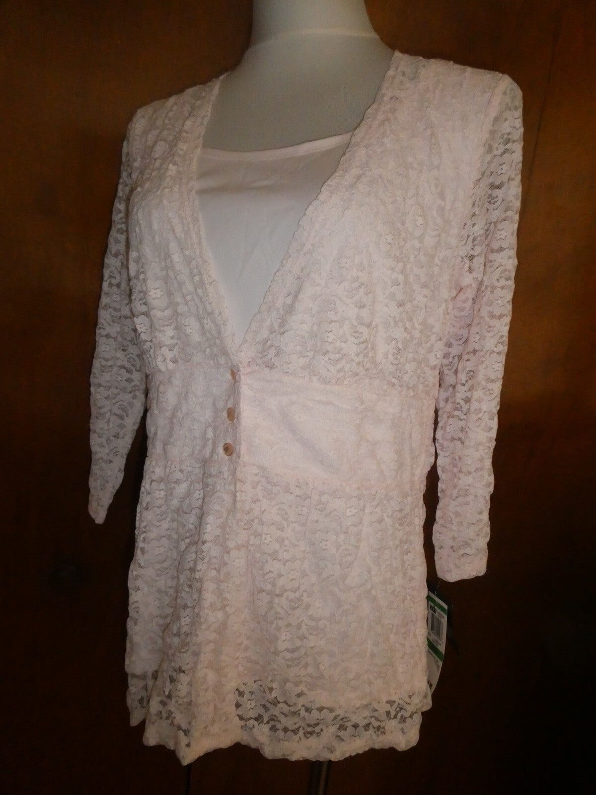 ALFANI Women's Sugar Pink Fringe-textured Sheer Lined Blouse Shirt Top Large