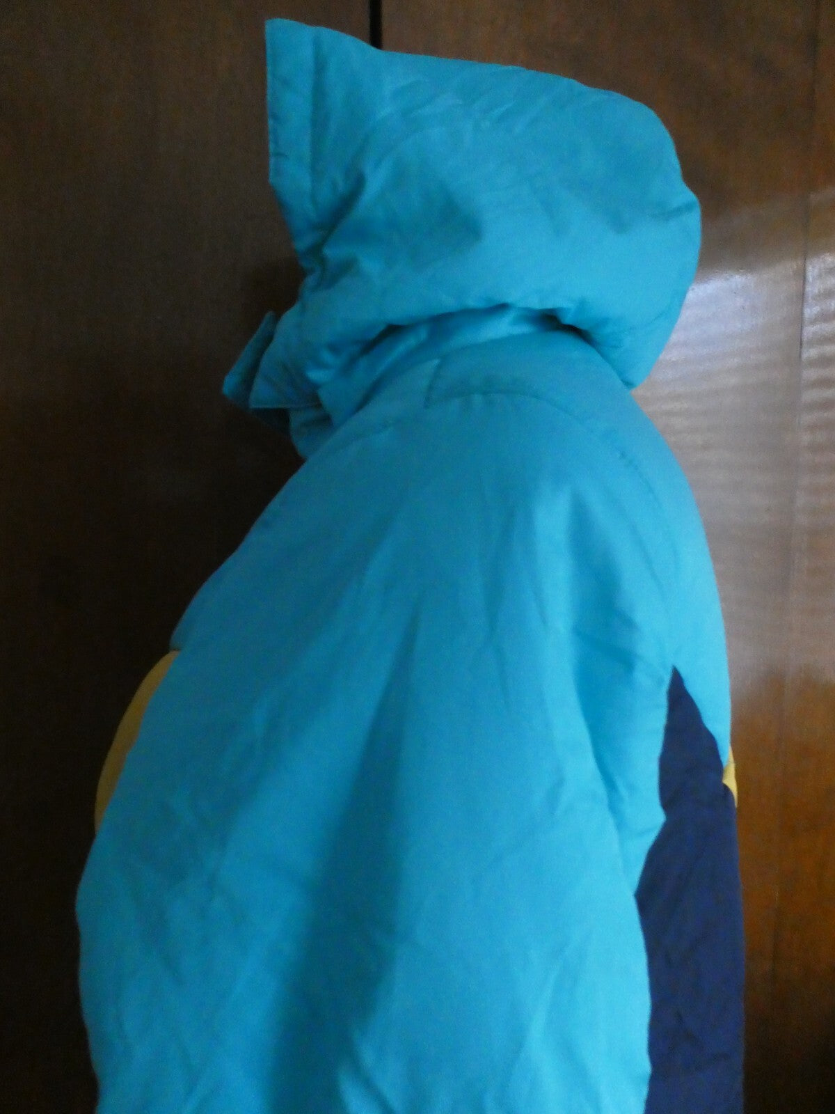 Mint Girl Winter Coat with Removable Hood Multicolor Girls Size Large (12-14)