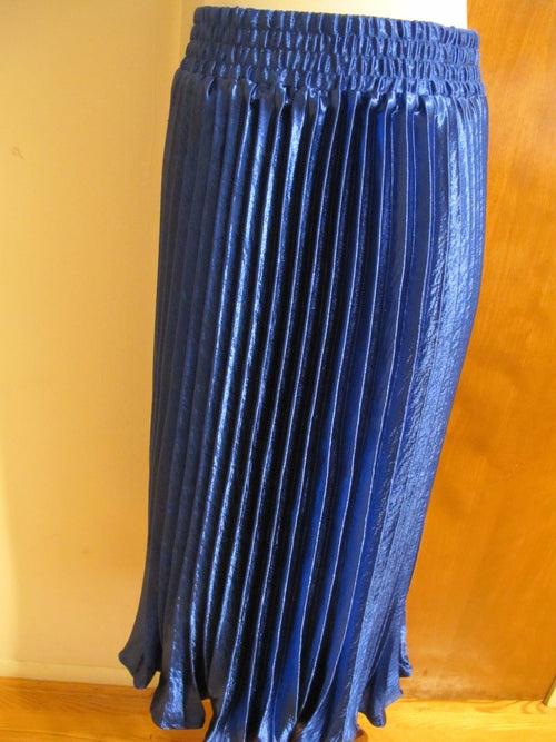 Anthropologie  HD In Paris Women's Blue Sapphire Pleated Skirt Size Large NWT
