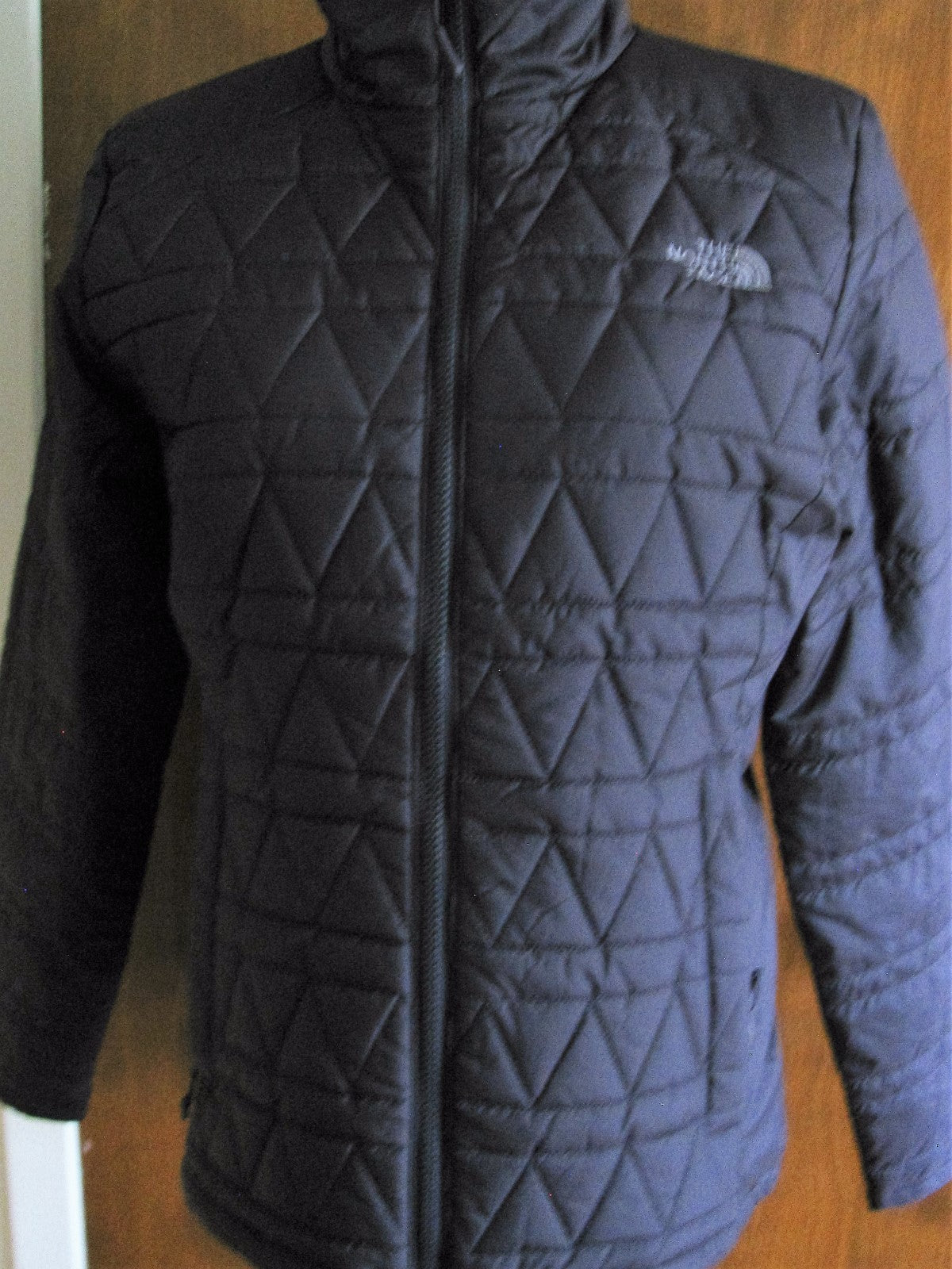 The North Face Women's Eggplant Jacket Coat New