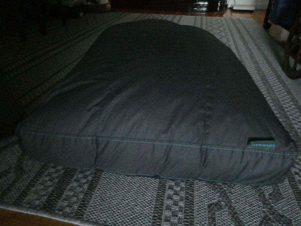 Lovesac Sactionals Back Pillow Lovesoft Fill GP9204 –Used 35"X23"X8"