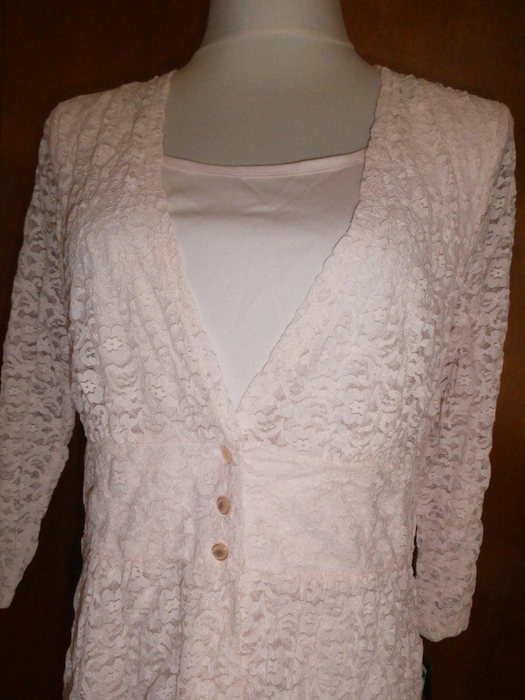 ALFANI Women's Sugar Pink Fringe-textured Sheer Lined Blouse Shirt Top Large