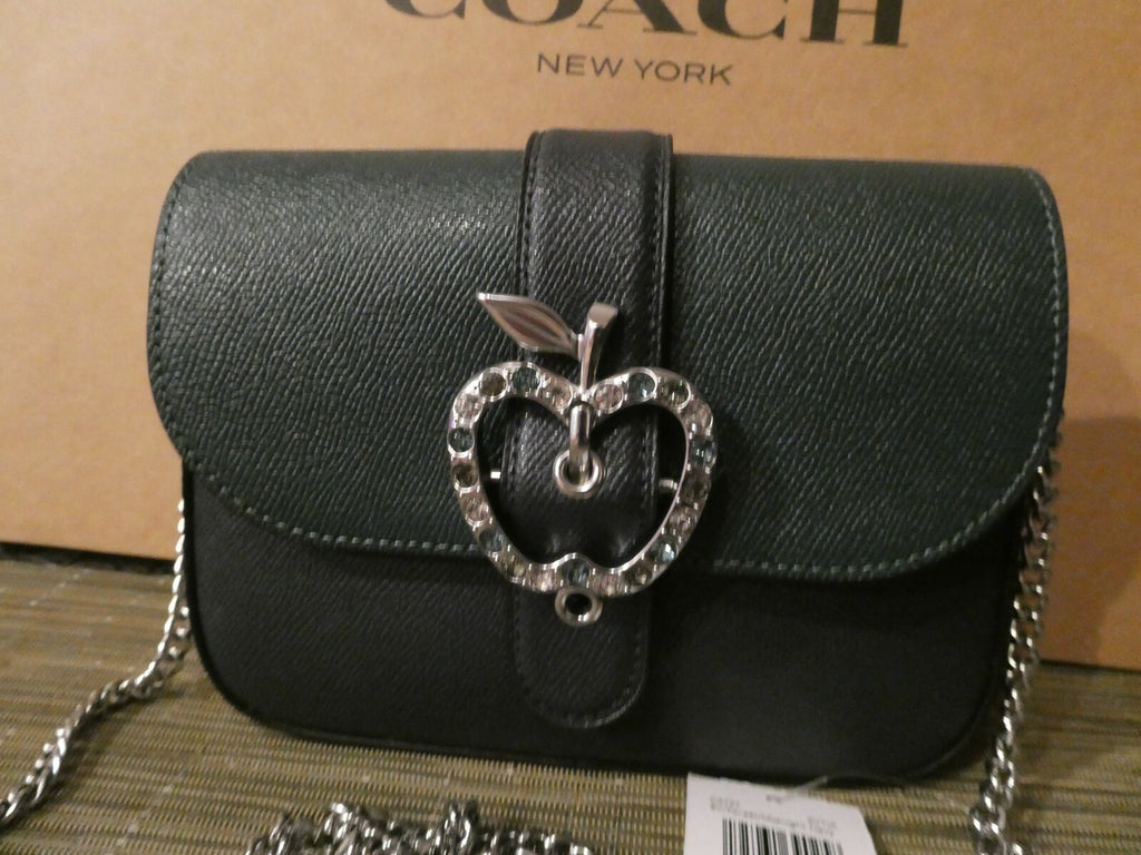 Coach Gemma Crossbody In Colorblock With Apple Buckle