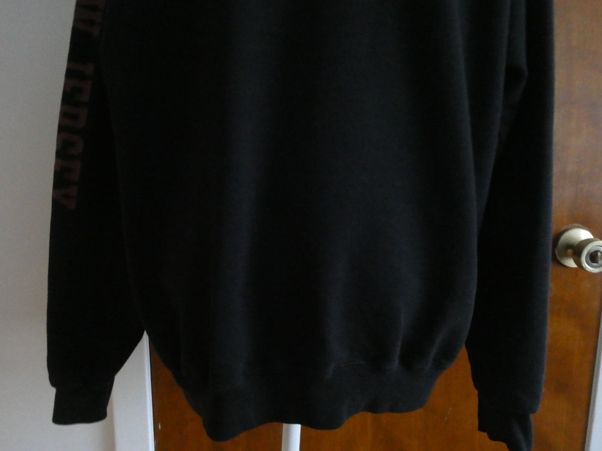 Champion Eco Authentic Ramapo College Roadrunners Hoodie Black XL Pullover