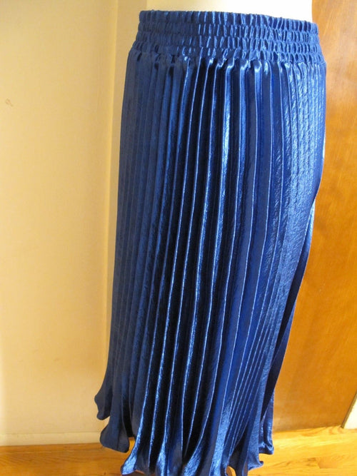 Anthropologie  HD In Paris Women's Blue Sapphire Pleated Skirt Size Large NWT