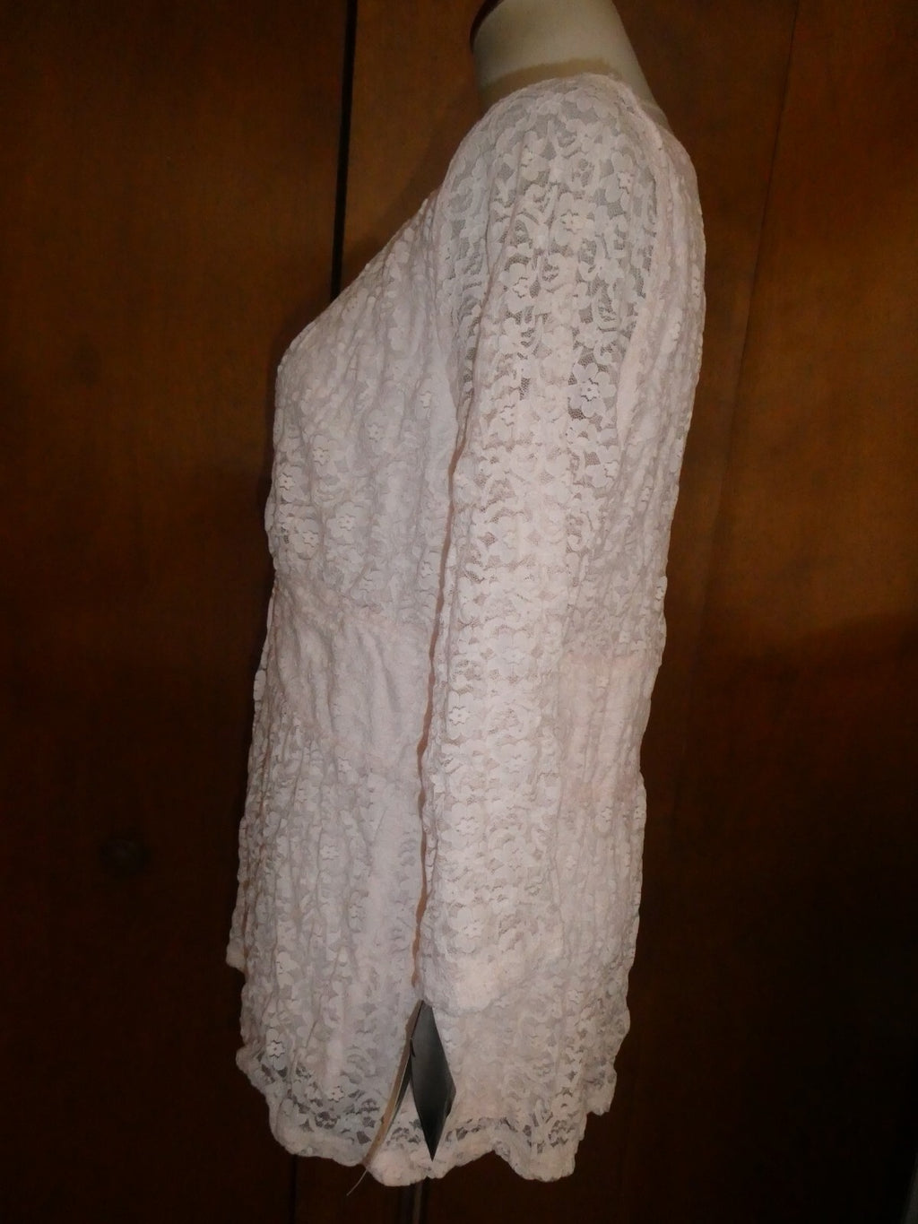 ALFANI Women's Sugar Pink Fringe-textured Sheer Lined Blouse Shirt Top Large