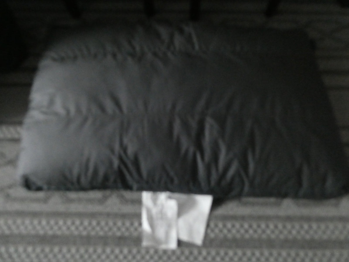 Lovesac Sactionals Back Pillow Lovesoft Fill GP9204 –Used 35"X23"X8"